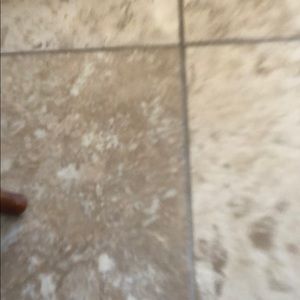 Meet your Posher, Victoria